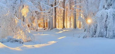 
高適:《別董大》
千里黃云白日曛,北風(fēng)吹雁雪紛紛.
莫愁前路無知己,天下誰人不識君?
忽如一夜春風(fēng)來,千樹萬樹梨花開。 —— 岑參《白雪歌送武判官歸京》
窗含西嶺千秋雪,門泊東吳萬里船。 —— 杜甫《絕句》
梅須遜雪三分白,雪卻輸梅一段香。 —— 盧梅坡《雪梅·其一》
瀚海闌干百丈冰,愁云慘淡萬里凝。 —— 岑參《白雪歌送武判官歸京》
北風(fēng)卷地白草折,胡天八月即飛雪。 —— 岑參《白雪歌送武判官歸京》
欲渡黃河冰塞川,將登太行雪滿山。 —— 李白《行路難·其一》
天時(shí)人事日相催,冬至陽生春又來。 —— 杜甫《小至》
且如今年冬,未休關(guān)西卒.(杜甫:《兵車行》)' 2.秋月?lián)P明惲,冬嶺秀寒松.(陶淵明:《四時(shí)》) 3.南鄰更可念,布破冬未贖.(陸游:《十月二十八日風(fēng)雨大作》) 4.冬盡今宵促,年開明日長.(董思恭:《守歲》) 5.鳴笙起秋風(fēng),置酒飛冬雪.(王微:《四氣詩》) 6.隆冬到來時(shí),百花即已絕.(陳毅:《梅》) 7.不知近水花先發(fā),疑是經(jīng)冬雪未銷.(張謂:《早梅》) 8.兒童冬學(xué)鬧比鄰,據(jù)岸愚儒卻子珍.(陸游:《秋日郊居》) 9.邯鄲驛里逢冬至,抱膝燈前影伴身.(白居易:《冬至夜思家》) 10.天時(shí)人事日相催,冬至陽生春又來.(杜甫:《小至》) 11、兩個(gè)黃鸝鳴翠柳,一行白露上青天.窗含西嶺千秋雪,門泊東吳萬里船.絕句----杜甫 12、千山鳥飛絕,萬徑人蹤滅.孤舟蓑笠翁,獨(dú)釣寒江雪.江雪----柳宗元 13、墻角數(shù)枝梅,凌寒獨(dú)自開.遙知不是雪 為有暗香來.梅花----王安石 14.雨雪瀌瀌,見晛曰消 瀌瀌:雪盛的樣子;一說猶“飄飄”.晛;太陽的熱氣.曰:語助詞,無實(shí)義.《詩經(jīng)·小雅·角弓》 15.寒風(fēng)摧樹木,嚴(yán)霜結(jié)庭蘭 漢·樂府古辭《古詩為焦仲卿妻作》 16.凄凄歲暮風(fēng),翳翳經(jīng)日雪.傾耳無希聲,在目皓已潔 凄凄:寒涼.翳翳:陰暗.希:少.在目:眼睛所見.皓:白.晉·陶淵明《癸卯歲十二月中作與從弟敬遠(yuǎn)》 17.撒鹽空中差可擬,未若柳絮因風(fēng)起 晉·謝道蘊(yùn)《詠雪聯(lián)句》:“白雪紛紛何所似,撒鹽空中差可擬,未若柳絮因風(fēng)起.” 18.明月照積雪,朔風(fēng)勁且哀 朔風(fēng):北風(fēng).勁:猛烈.哀:凄厲.南朝宋·謝靈運(yùn)《歲暮》 19.隔牖風(fēng)驚竹,開門雪滿山 牖:窗戶.風(fēng)驚竹:風(fēng)中帶雪,打在竹上,發(fā)出沙沙的響聲.唐·王維《冬晚對雪憶胡居士家》 20.不知庭霰今朝落,疑是林花昨夜開 庭霰:落在庭院里的雪花.唐·宋之問《苑中遇雪應(yīng)制》 21.水聲冰下咽,沙路雪中平 唐·劉長卿《酬張夏雪夜赴州訪別途中苦寒作》 22.一條藤徑綠,萬點(diǎn)雪峰晴 唐·李白《冬日歸舊山》 23.地白風(fēng)色寒,雪花大如手 唐·李白《嘲王歷陽不肯飲酒》 24.燕山雪花大如席,紛紛吹落軒轅臺 軒轅臺:相傳為黃帝擒蚩尤之處.唐·李白《北風(fēng)行》 25.亂云低薄暮,急雪舞回風(fēng) 回風(fēng):回旋的風(fēng).唐·杜甫《對雪》 26.霜嚴(yán)衣帶斷,指直不得結(jié) 指直:手指僵直.唐·杜甫《自京赴奉先縣詠懷五百字》 27.云晴鷗更舞,風(fēng)逆雁無行 無行:不成行列.唐·杜甫《冬晚送長孫漸舍人歸州》 28.寒天催日短,風(fēng)浪與云平 唐·杜甫《公安縣懷古》 29.斜陽疏竹上,殘雪亂山中 唐·韓翃《褚主簿宅會畢庶子錢員外郎使君》(一作張繼詩) 30.誰將平地萬堆雪,剪刻作此連天花 唐·韓愈《李花二首》:“當(dāng)春天地爭奢華,洛陽園苑尤紛拏.誰將平地萬堆雪,剪刻作此連天花.” 31.嚴(yán)冬不肅殺,何以見陽春 肅殺:嚴(yán)酷蕭瑟的樣子.唐·呂溫《孟冬蒲津關(guān)河亭作》 32.天寒色青蒼,北風(fēng)叫枯桑.厚冰無裂文,短日有冷光 叫:風(fēng)聲如吼.唐·孟郊《苦寒吟》 33.才見嶺頭云似蓋,已驚巖下雪如塵.千峰筍石千株玉,萬樹松蘿萬朵云 唐·元稹《南秦雪》 34.六出飛花入戶時(shí),坐看青竹變瓊枝 六出:雪花呈六角形,故以“六出”稱雪花.瓊枝:竹枝因雪覆蓋面似白玉一般.唐·高駢《對雪》 35.夜深知雪重,時(shí)聞?wù)壑衤?唐·白居易《夜雪》:“已訝衾枕冷,復(fù)見窗戶明.夜深知雪重,時(shí)聞?wù)壑衤?” 36.旋撲珠簾過粉墻,輕于柳絮重于霜 兩句寫雪花紛飛的景象.唐·李商隱《對雪二首》 37.百泉凍皆咽,我吟寒更切 咽:泉水因冰凍而流動(dòng)不暢,因以嗚咽來形容.吟:歌吟.唐·劉駕《苦寒吟》:“百泉凍皆咽,我吟寒更切.半夜倚喬松,不覺滿衣雪.” 38.戰(zhàn)退玉龍三百萬,敗鱗殘甲滿天飛 玉龍:形容飛雪.敗鱗殘甲:形容雪片亂舞如鱗甲之片紛紛墜落.宋·胡仔《苕溪漁隱叢話》前集卷五十四引《西清詩話》載張?jiān)鳌堆吩?39.江山不夜月千里,天地?zé)o私玉萬家 玉:喻白雪.元·黃庚《雪》。
額,太多了,我挑幾首和上面不一樣的吧
《塞下曲》【唐】盧綸
月黑雁飛高,單于夜遁逃。欲將輕騎逐,大雪滿弓刀。
《別董大》【唐】高適
千里黃云白日曛,北風(fēng)吹雁雪紛紛。
莫愁前路無知己,天下誰人不識君。
《問劉十九》【唐】白居易
綠蟻新醅酒,紅泥小火爐。晚來天欲雪,能飲一杯無。
《終南望余雪》【唐】祖詠
終南陰嶺秀,積雪浮云端。林表明霽色,城中增暮寒。
《雪梅》【宋】盧梅坡
梅雪爭春未肯降,騷人閣筆費(fèi)評章。
梅須遜雪三分白,雪卻輸梅一段香。
3,北風(fēng)卷地白草折,胡天八月即飛雪.岑參【白雪歌送武判官歸京】
4,忽如一夜春風(fēng)來,千樹萬樹梨花開.岑參【白雪歌送武判官歸京】
5,千里黃云白日曛,北風(fēng)吹雁雪紛紛.高適【別董大】
6,燕山雪花大如席,片片吹落軒轅臺 李白《北風(fēng)行》
7,山回路轉(zhuǎn)不見君,雪上空留馬行處 岑參【白雪歌送武判官歸京】
8,云橫秦嶺千秋雪,雪擁藍(lán)關(guān)馬不前 韓愈《左遷至藍(lán)關(guān)示侄孫湘》
9,夜闌臥聽風(fēng)吹雨,鐵馬冰河入夢來 蘇軾《十一月四日風(fēng)雨大作》
這些都是名句
然后,柳宗元的《江雪》與王安石的《梅花》是簡單、好背、也很著名的
《問劉十九》【唐】白居易 也很有情趣
《雪梅》也是
如果你要很多關(guān)于冬天的古詩,那就點(diǎn)鏈接
1、晚來天欲雪,能飲一杯無。
____白居易《問劉十九》2、千山鳥飛絕,萬徑人蹤滅。____柳宗元《江雪》3、冰雪林中著此身,不同桃李混芳塵;____王冕《白梅》4、朔風(fēng)如解意,容易莫摧殘。
____崔道融《梅花》5、孤舟蓑笠翁,獨(dú)釣寒江雪。____柳宗元《江雪》6、日暮蒼山遠(yuǎn),天寒白屋貧。
____劉長卿《逢雪宿芙蓉山主人》7、墻角數(shù)枝梅,凌寒獨(dú)自開。____王安石《梅花 / 梅》8、江南幾度梅花發(fā),人在天涯鬢已斑。
____劉著《鷓鴣天·雪照山城玉指寒》9、青海長云暗雪山,孤城遙望玉門關(guān)。____王昌齡《從軍行七首·其四》10、亂山殘雪夜,孤燭異鄉(xiāng)人。
____崔涂《除夜 / 巴山道中除夜書懷 / 除夜有懷》11、北國風(fēng)光,千里冰封,萬里雪飄。____毛澤東《沁園春·雪》12、云橫秦嶺家何在?雪擁藍(lán)關(guān)馬不前。
____韓愈《左遷至藍(lán)關(guān)示侄孫湘》13、欲將輕騎逐,大雪滿弓刀。____盧綸《和張仆射塞下曲·其三》14、窗含西嶺千秋雪,門泊東吳萬里船。
____杜甫《絕句》15、千里黃云白日曛,北風(fēng)吹雁雪紛紛。____高適《別董大二首》16、不知近水花先發(fā),疑是經(jīng)冬雪未銷。
____張謂《早梅》17、草枯鷹眼疾,雪盡馬蹄輕。____王維《觀獵》18、燕山雪花大如席,片片吹落軒轅臺。
____李白《北風(fēng)行》19、夜深知雪重,時(shí)聞?wù)壑衤暋___白居易《夜雪》20、慘慘柴門風(fēng)雪夜,此時(shí)有子不如無。
____黃景仁《別老母》21、六出飛花入戶時(shí),坐看青竹變瓊枝。____高駢《對雪》22、砌下落梅如雪亂,拂了一身還滿。
____李煜《清平樂·別來春半》23、大雪壓青松,青松挺且直。____陳毅《青松》24、山回路轉(zhuǎn)不見君,雪上空留馬行處。
____岑參《白雪歌送武判官歸京》25、柴門聞犬吠,風(fēng)雪夜歸人。____劉長卿《逢雪宿芙蓉山主人》26、終南陰嶺秀,積雪浮云端。
____祖詠《終南望余雪》27、細(xì)雨斜風(fēng)作曉寒。淡煙疏柳媚晴灘。
____蘇軾《浣溪沙·元豐七年十二月二十四日從泗州劉倩叔游南山》28、晨起開門雪滿山,雪晴云淡日光寒。____鄭燮《山中雪后》29、欲渡黃河冰塞川,將登太行雪滿山。
____李白《行路難·其一》30、瀚海闌干百丈冰,愁云慘淡萬里凝。____岑參《白雪歌送武判官歸京》。
1、唐代白居易《邯鄲冬至夜思家》:邯鄲驛里逢冬至,抱膝燈前影伴身。
想得家中夜深坐,還應(yīng)說著遠(yuǎn)行人。釋義:我居住在邯鄲客棧的時(shí)候正好是冬至佳節(jié)。
晚上,我抱著雙膝坐在燈前,只有影子與我相伴。我相信,家中的親人今天會相聚到深夜,還應(yīng)該談?wù)撝疫@個(gè)遠(yuǎn)行人。
2、清代納蘭性德《臨江仙·寒柳》:飛絮飛花何處是,層冰積雪摧殘,疏疏一樹五更寒。愛他明月好,憔悴也相關(guān)。
最是繁絲搖落后,轉(zhuǎn)教人憶春山。湔裙夢斷續(xù)應(yīng)難。
西風(fēng)多少恨,吹不散眉彎。 釋義:柳絮楊花隨風(fēng)飄到哪里去了呢?原來是被厚厚的冰雪摧殘了。
五更時(shí)分夜闌風(fēng)寒,這株柳樹也顯得凄冷蕭疏。皎潔的明月無私普照,不論柳樹是繁茂還是蕭疏,都一般關(guān)懷。
最是在繁茂的柳絲搖落的時(shí)候,我更免不了回憶起當(dāng)年的那個(gè)女子。夢里又見當(dāng)年和她幽會的情景,但是好夢易斷,斷夢難續(xù)。
遂將愁思寄給西風(fēng),可是,再強(qiáng)勁的西風(fēng)也吹不散我眉間緊鎖的不盡憂愁。3、唐代李益《從軍北征》:天山雪后海風(fēng)寒,橫笛偏吹行路難。
磧里征人三十萬,一時(shí)回首月中看。釋義:天山下了一場大雪,從青海湖刮來的風(fēng)更添寒冷。
行軍途中,戰(zhàn)士吹起笛曲《行路難》。聽到這悲傷的別離曲,駐守邊關(guān)的三十萬將士,都抬起頭來望著東升的月亮。
4、宋代李清照《漁家傲·雪里已知春信至》:雪里已知春信至,寒梅點(diǎn)綴瓊枝膩。香臉半開嬌旖旎,當(dāng)庭際,玉人浴出新妝洗。
造化可能偏有意,故教明月玲瓏地。共賞金尊沈綠蟻,莫辭醉,此花不與群花比。
釋義:白雪皚皚,滿眼銀色世界。就在這銀色的世界里,一樹寒梅點(diǎn)綴其間。
那覆雪懸冰的梅枝,晶瑩剔透,別在枝頭的梅花,豐潤姣潔。就是從這傲雪而放的梅花,人們才知道了春天就要到來的消息。
梅花含苞初綻,嬌美可憐,芳?xì)庖u人,就像庭院里剛剛出浴,換了新妝的美人。大自然可能也有偏愛,她憐愛這嬌艷的梅花,作為陪襯,才讓月光這樣皎潔清澈,玲瓏剔透,灑滿大地。
讓我們舉杯開懷暢飲吧,值此花好月圓雪白的良宵,品酒賞梅,一醉方休。要知道,群花競艷,誰也遜色于梅花呀。
![關(guān)于冬天的著名詩句