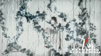 關(guān)于口琴的詩句