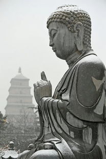 關(guān)于冬雪長安詩句古詩