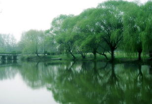 關(guān)于南京玄武湖詩句