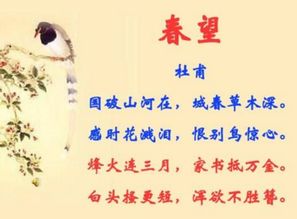 寫幾句表達思鄉(xiāng)情感的古詩句