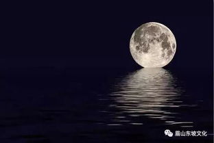 蘇軾關于楓林美好的詩句