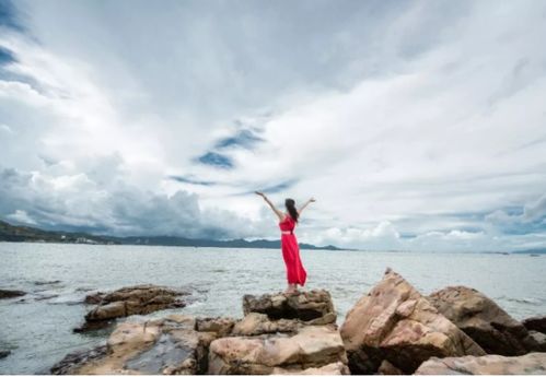 關(guān)于風(fēng)的詩句體現(xiàn)了作者什么思想感情