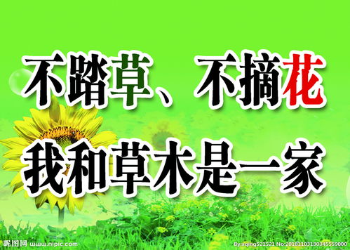 關于禁止摘花踏草的詩句