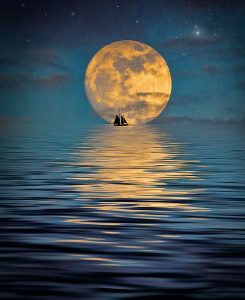 關(guān)于月亮思鄉(xiāng)的詩(shī)句古詩(shī)大全