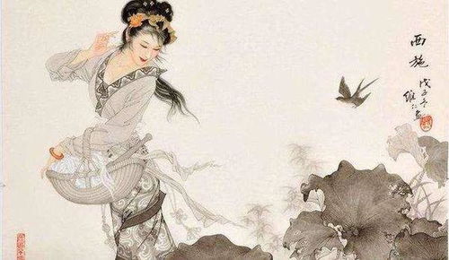 關于贊美女人美麗的詩句