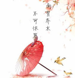 關(guān)于醉的唯美詩(shī)句