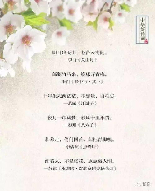 詩(shī)句,唯美,天涯