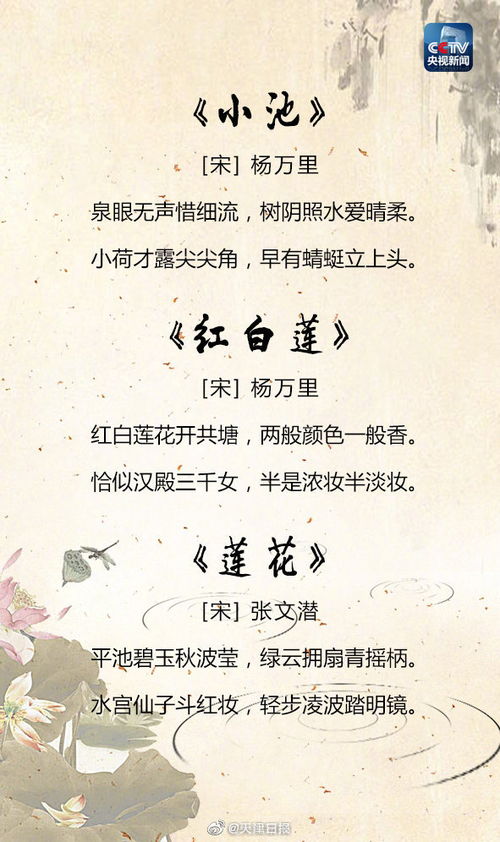 古代贊揚(yáng)美女的詩句,贊揚(yáng)美女的詩句現(xiàn)代詩,贊揚(yáng)古裝美女的詩句