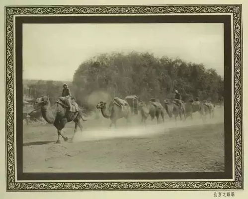 關(guān)于輕時(shí)光倒流的詩(shī)句