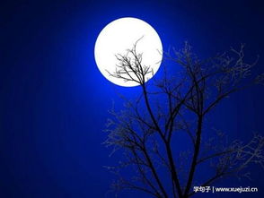 形容月光的古詩(shī)句