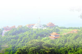 關(guān)于綠水青山重要性的詩句