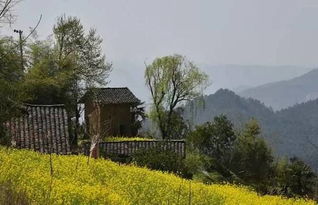 關(guān)于離家想念目前的詩句