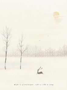 古詩中關(guān)于歲月的詩句