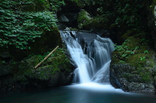 豪邁壯闊的古詩句