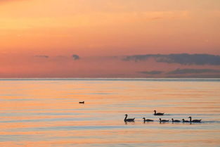 詩句,困境,人生