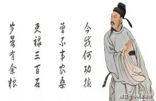 有關(guān)于白居易的詩句有哪些