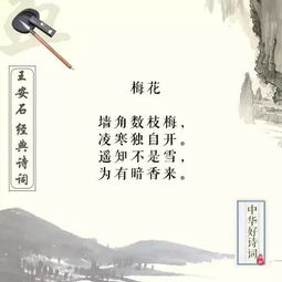 王安石寫的關于新的詩句