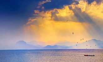 關(guān)于云南唯美的詩(shī)句6