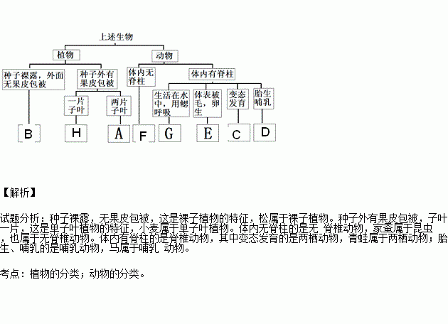 關于生理特征詩句