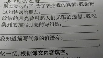 關于真心對待朋友的詩句