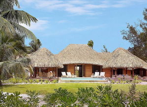 關(guān)于熱帶風(fēng)情的詩(shī)句