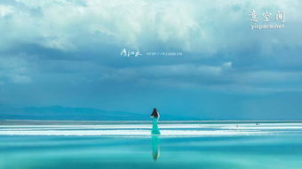 關(guān)于真心對愛情的詩句