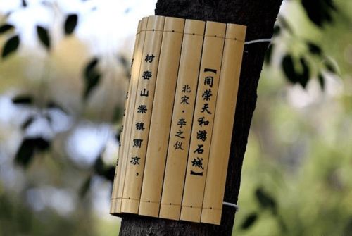 鹿柴的意思是什么意思,春日含哲理的詩句是什么,意思是什么,相宜的意思是什么詩句的意思是什么