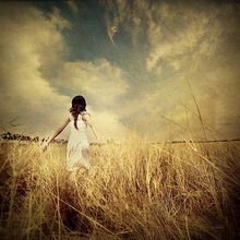 關(guān)于生命堅強(qiáng)的詩句