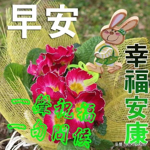 關于動態(tài)美的詩句