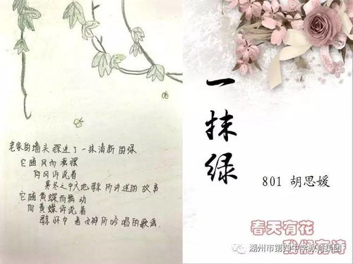 關(guān)于春天玫瑰的詩(shī)句