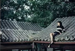 描寫枇杷樹的詩句古詩