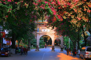 有關(guān)于桂平的詩句