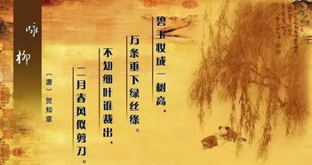 詠柳古詩用比喻的詩句
