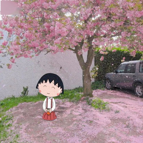 關(guān)于勾起回憶的詩句