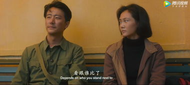 關于芳華電影的詩句