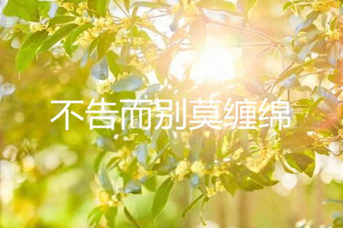 暗示不告而別的古詩句