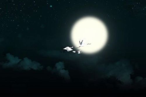 描寫月亮的詩句古詩七十五首