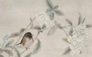 寫一寫學(xué)過的與四季有關(guān)的古詩句