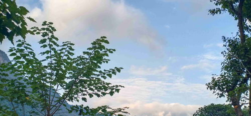 求古詩中有金秋字的詩句