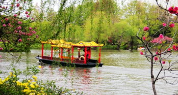 關(guān)于長(zhǎng)堤春柳的詩(shī)句