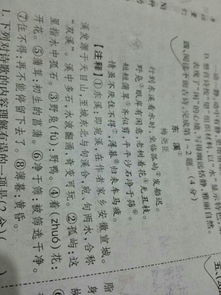 關于水的詩句及翻譯