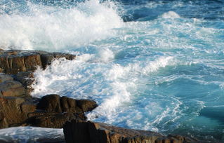 描寫大海的古詩句有什么作用