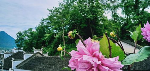 描寫三四月份的詩(shī)句,描寫三四月份春天的詩(shī)句,形容三四月份的詩(shī)句和詞語(yǔ)