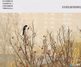 關(guān)于傷悲的詩句古詩