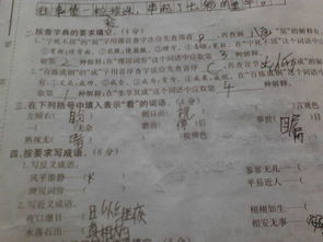 關(guān)于積極表態(tài)的詩句