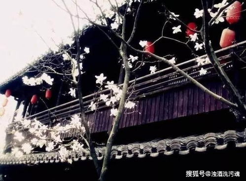 很美,詩句,夜景