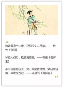 詩句,英俊,形容,男子