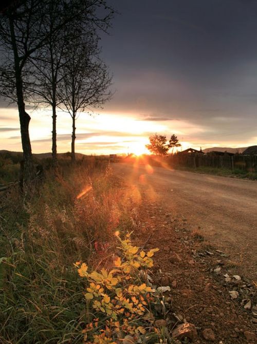 關(guān)于思鄉(xiāng)的詩(shī)句古詩(shī)詞六年級(jí),中秋思鄉(xiāng)的詩(shī)句,描寫(xiě)思鄉(xiāng)的詩(shī)句古詩(shī)詞