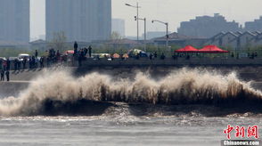 關(guān)于錢江潮回頭潮的詩句